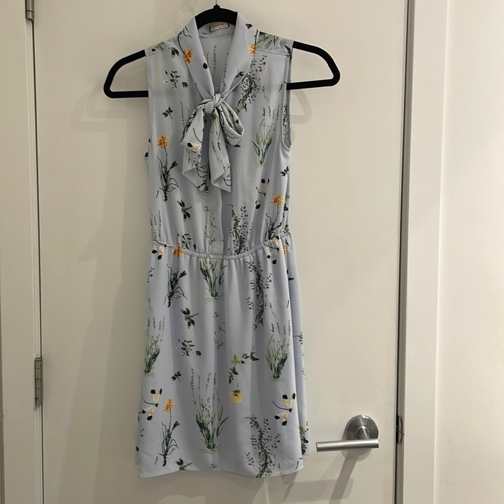 Aritzia dress